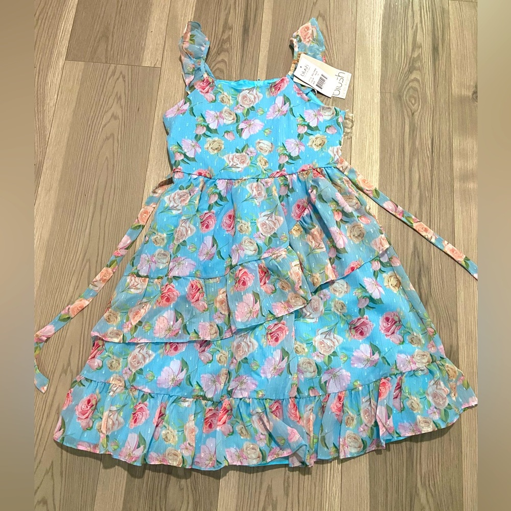 Blush Girls Floral CHIFFON RUFFLE DRESS Size 10 NWT
